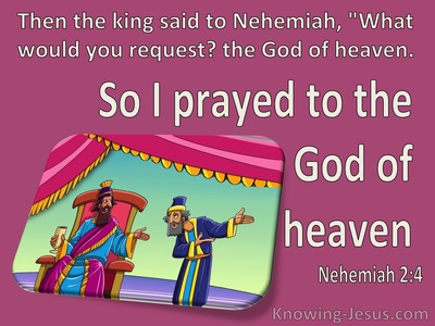 Nehemiah 2:4 So I Prayed To The God Of Heaven (pink)